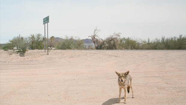 ALBUM REVIEW – THE DELINES: MR LUCK & MS DOOM